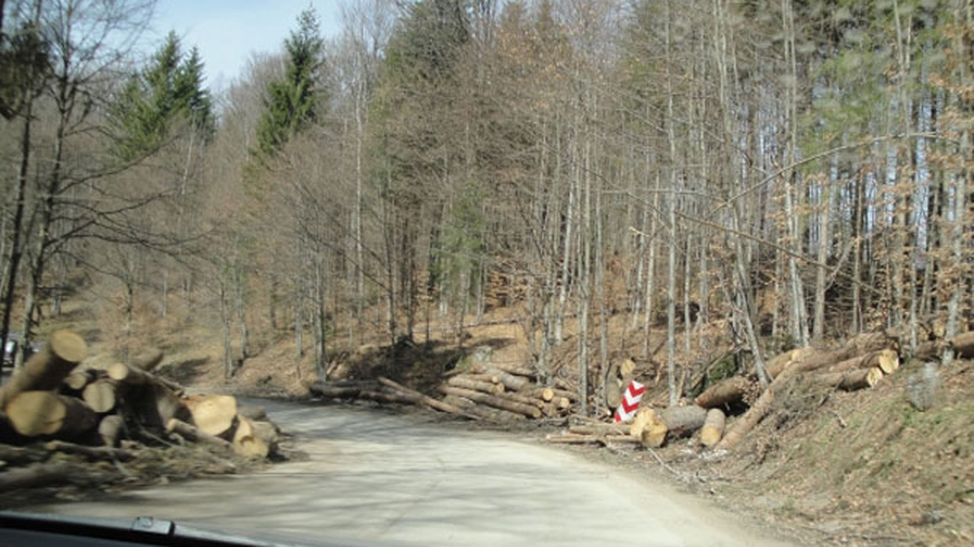 Circulatia din Prahova a fost afectata pe doua drumuri nationale din cauza unor copaci doborati de vant
