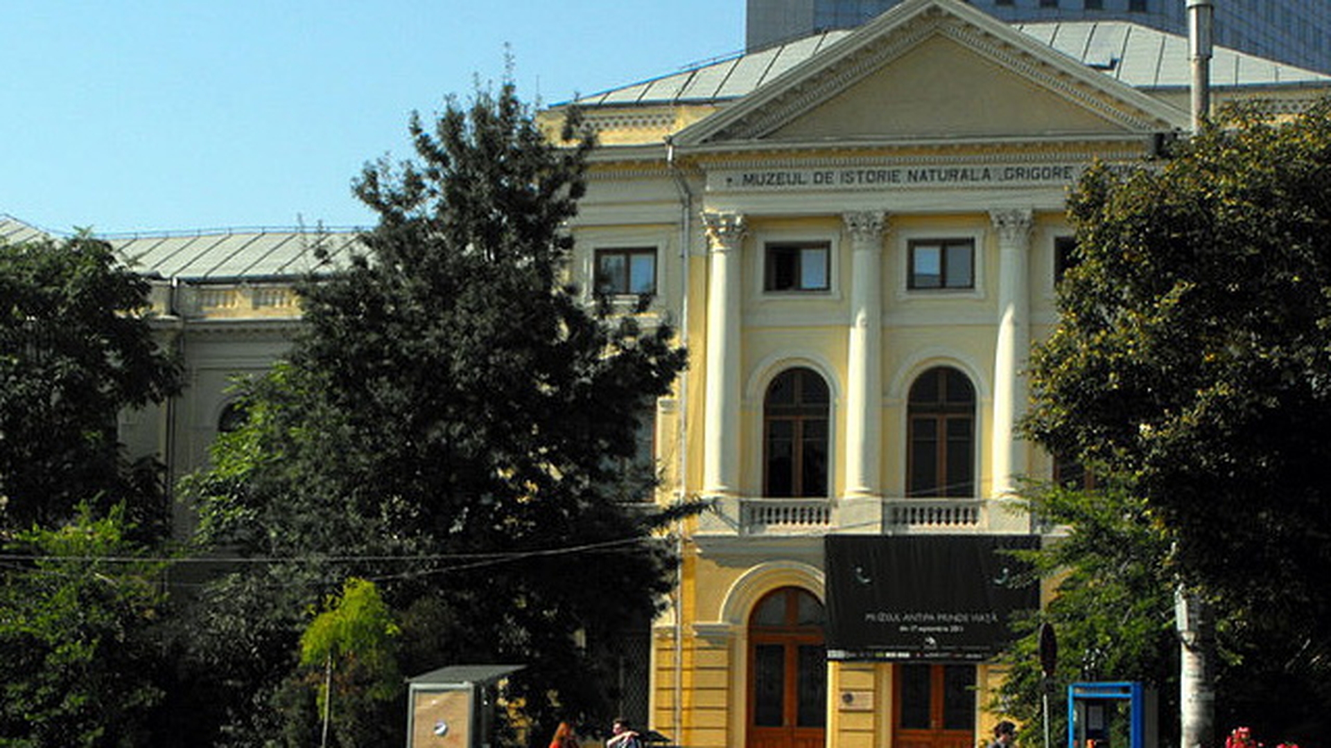 S-a elucidat misterul cadavrului mumificat gasit intr-un canal langa Muzeul Grigore Antipa!