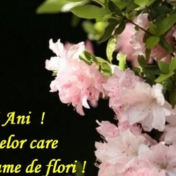 Imagine Galerie #3