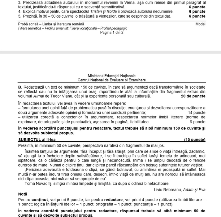 Ce pică la BAC 1 iulie 2019. Subiecte la Limba şi literatura română, EDU.RO