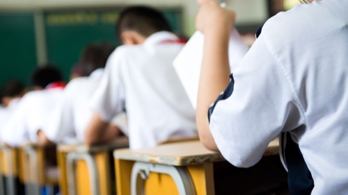 Evaluarea Națională 2019. Subiecte și barem la limba maternă