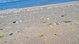 Râzi cu lacrimi! Ce a găsit un turist pe plajă, în Vama Veche! "O fi a lui taică-miu. Și-a pierdut-o acum 3 ani"
