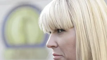 Elena Udrea, 8 ani cu executare, Ioana Băsescu, 5 ani de închisoare în dosarul finanțării campaniei electorale din 2009