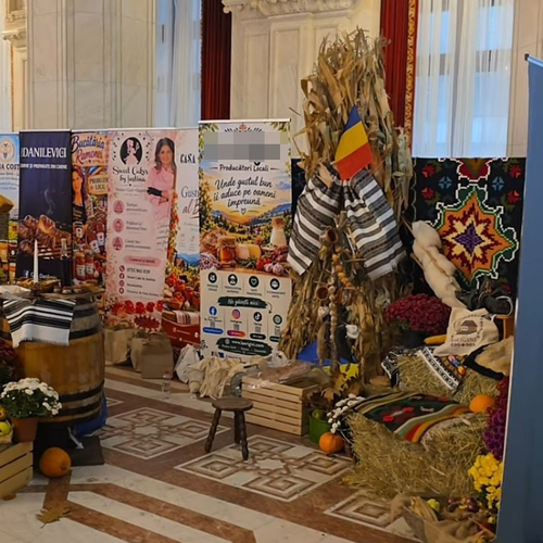 Imagine Galerie #1