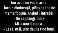 BANCUL ZILEI | Ion și capra vecinului arab