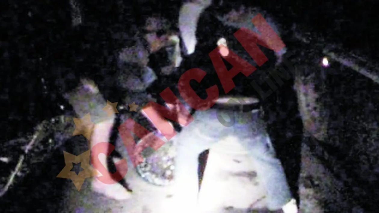 Au fost prinsi in timp ce ingropau mercur si arsenic