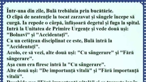 BANC | Într-o zi, Bulă trebăluia prin bucătărie