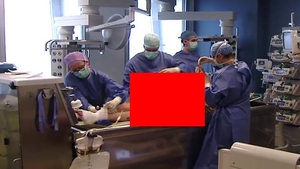 VIDEO SOCANT cu victimele din Colectiv! Atentie, imagini care va pot afecta emotional