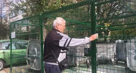 Galerie foto - poza 3