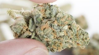 Un barbat a fost prins in flagrant in Brasov, in timp ce incerca sa vanda 500 de grame de cannabis