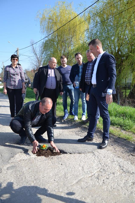 Primarii și localnicii au plantat pansele în gropile din șosea