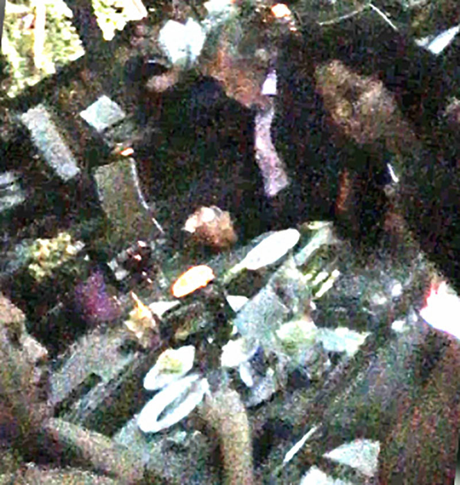 Ilie Năstase şi Brigitte Sfăt au ieşit la un restaurant din Herăstrău şi au "sărbătorit" divorţul cu un şpriţ