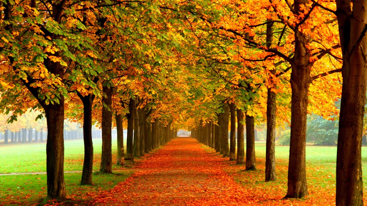 PROGNOZA METEO 24 NOIEMBRIE: Vremea se menţine caldă în anumite regiuni ale ţării