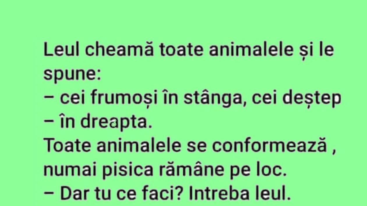 BANC | Leul cheamă toată animalele și le spune: Cei frumoși - în stânga. Cei deștepți - în dreapta!