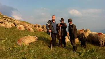 Cel mai bogat cioban din Romania, teorii de senzatie: “Cine zice ca oile sunt proaste, e mai prost ca ele!”