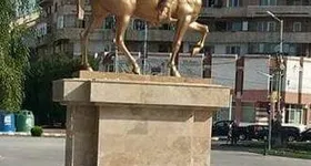 Galerie foto - poza 3