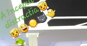 Galerie foto - poza 2