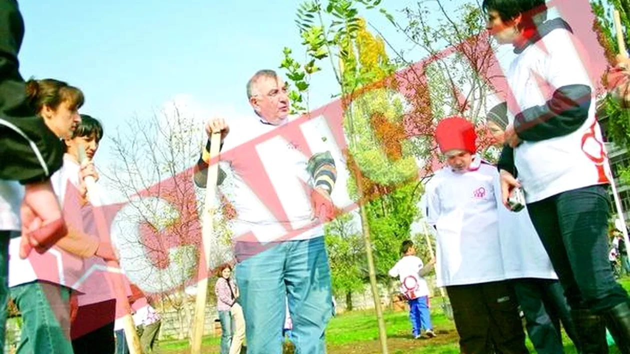 Parcul Pajura, Impadurit cu doua sute de frasini