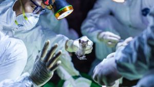 Bilantul oficial. Câți români aflați în străinătate sunt infectați cu coronavirus. Trei au murit, deja, în Italia!