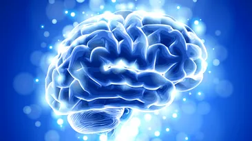 Ce se întâmplă în creierul omului în primele cinci minute după moarte. „Este o descoperire fundamentală”