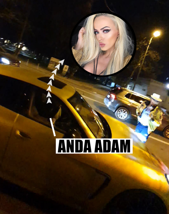 Anda Adam a fost oprită de un echipaj de la Rutieră