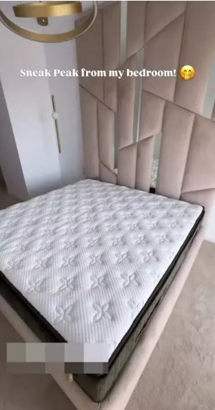 Cum arată apartamentul Ramonei Olaru după renovare. Are aer condiționat cu display și litieră „OZN”