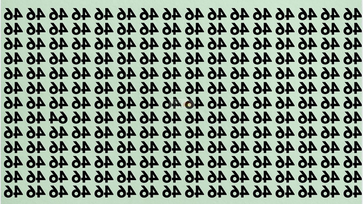 Test de logică | Găsiți numărul 64 în această imagine. Geniile reușesc în 7 secunde