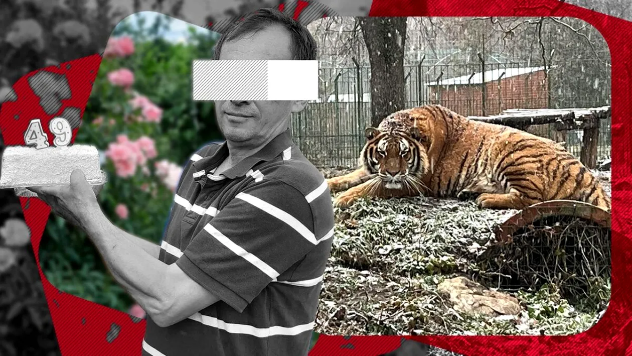 Fiica angajatului ucis de tigru la Grădina Zoologică, mărturii sfâșietoare: ”Este crunt, era desfigurat...”. Bărbatul nu ar fi avut cu ce să se apere / EXCLUSIV