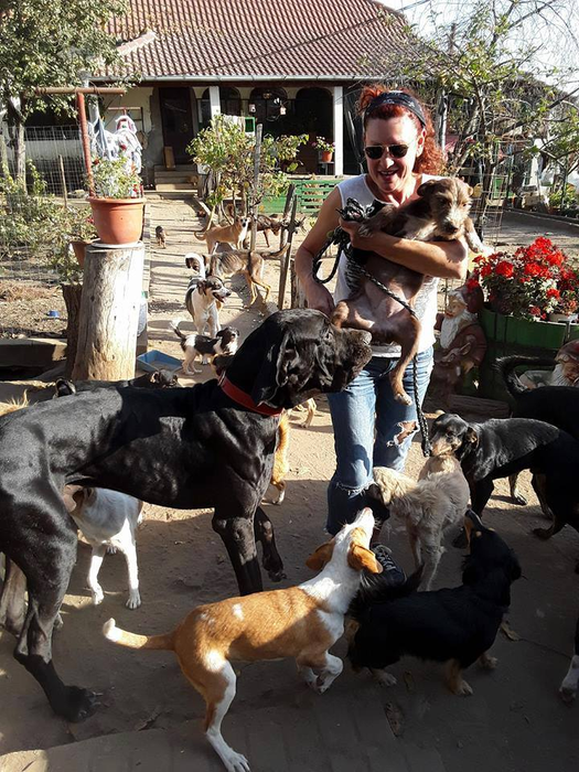 Câinii sunt animalele favorite ale Danielei