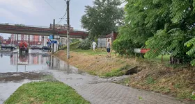 Galerie foto - poza 4