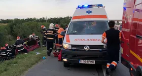 Galerie foto - poza 1