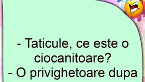 BANCUL ZILEI | "Tăticule, ce este o ciocănitoare?"