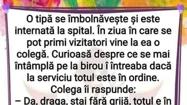 BANC | Totul e în ordine la birou, am împărțit atribuțiile tale