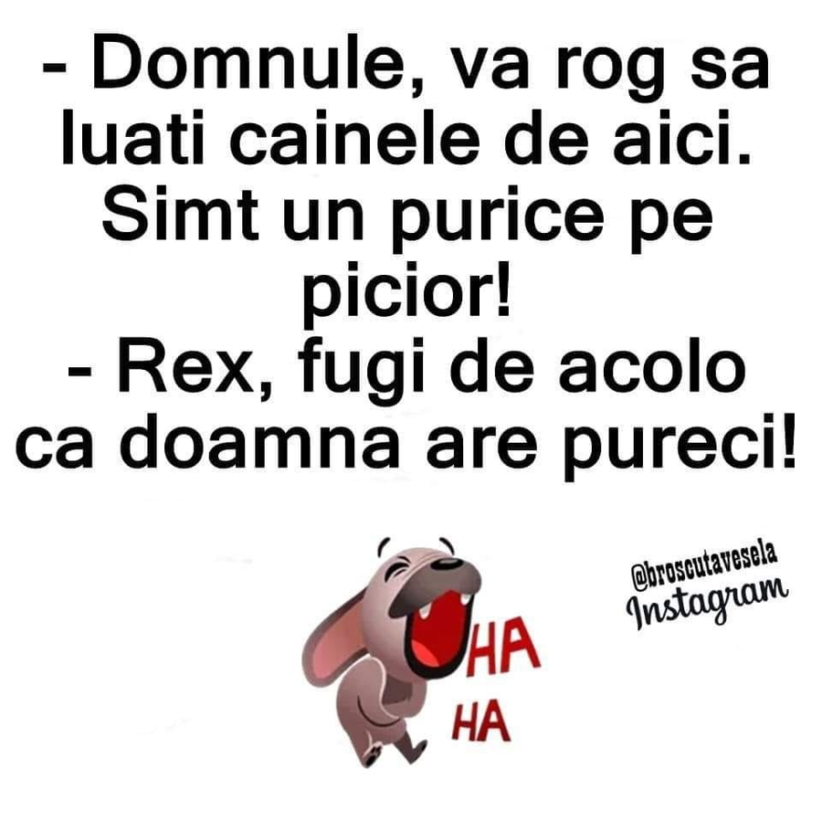 bancul zilei