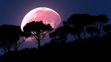 Sâmbătă, 16 aprilie, fenomen astrologic important: Luna Plină Roz! Cum ne influenţează viaţa