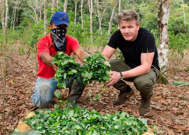 Celebrul GORDON RAMSAY a dezvăluit în direct ce ingrediente conţine cocaina. A „gătit” periculosul drog chiar în faţa telespectatorilor şi a început să plângă