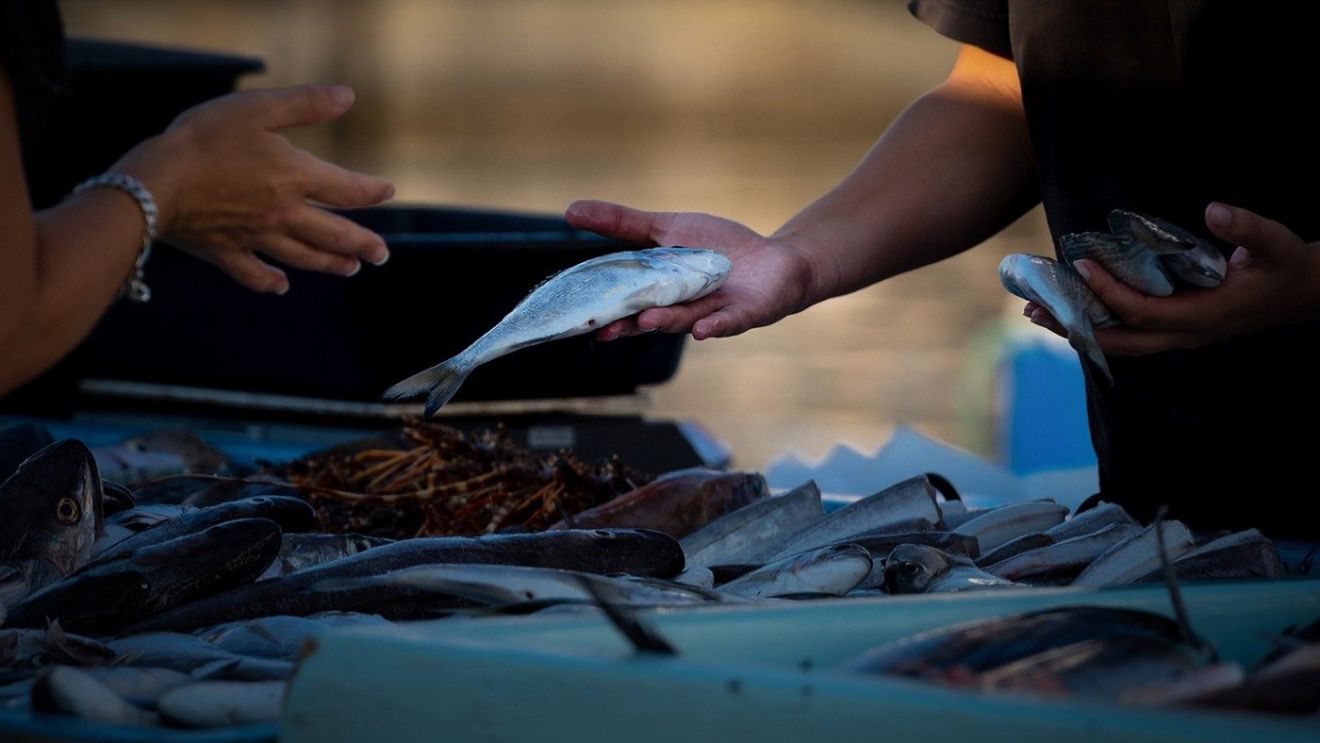 Semnal de alarmă lansat pentru români. În prag de Florii, s-a descoperit cât de periculos este peștele de pe tarabe