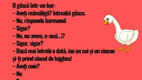 Bancul începutului de săptămână | O gâscă într-un bar: „Aveți mămăligă”