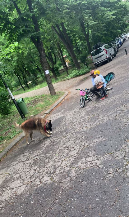 Chef Foa își ajută băiețelul să se ridice, după ce a căzut cu bicicleta (Foto: CANCAN.RO)
