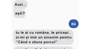 BANCUL ZILEI | "Zi-mi un sinonim pentru 'când o zbura porcul'!"
