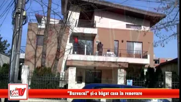 Bursucul si-a bagat casa in renovare