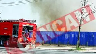 Parcul IOR, In flacari