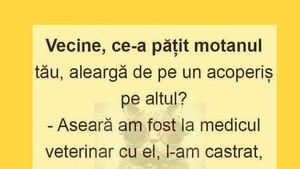 BANC | "Vecine, ce-a pățit motanul tău de aleargă de pe un acoperiș pe altul?”