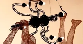 Galerie foto - poza 1