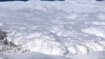 Zapada de doi centimetri la munte in plina vara