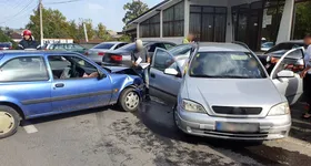 Galerie foto - poza 3