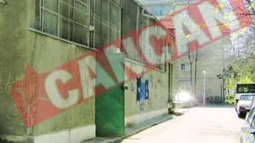 Elevele batause ameninta cu sinuciderea