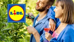 Top scule electrice Parkside și produse Livarno Home la prețuri bune în catalogul Lidl din august