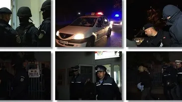 Opt suporteri ai Dinamo, reținuți după bătaia din centrul Timișoarei