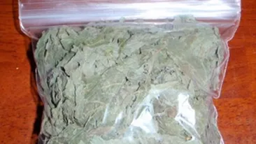 SOCANT! Plantele etnobotanice fac victime! Si-a ucis iubita dupa ce au consumat substante halucinogene